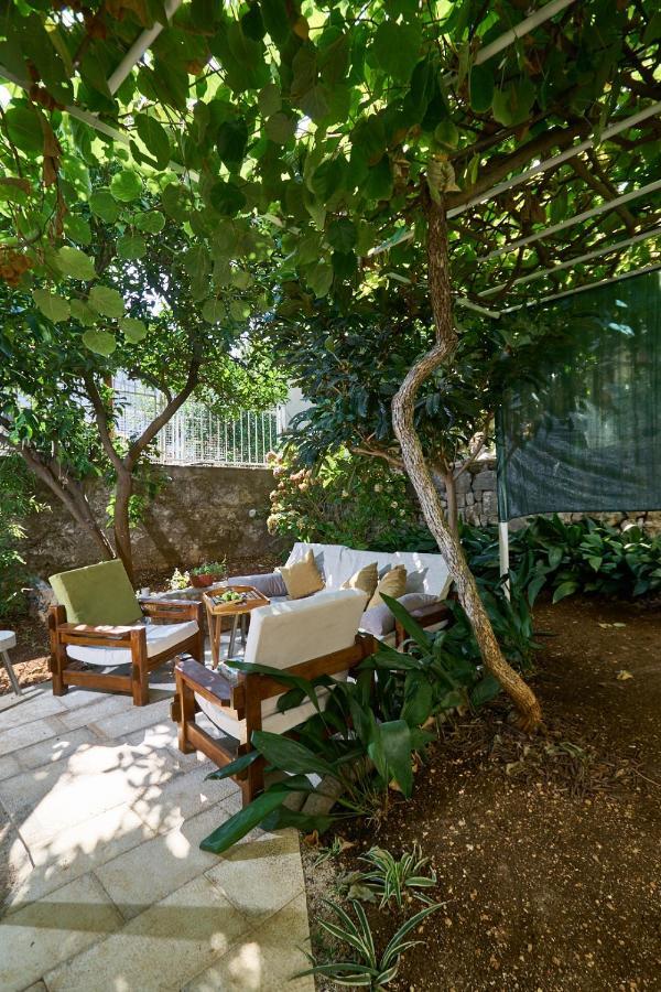 شقة Aspidistra Shadow دوبروفينك المظهر الخارجي الصورة