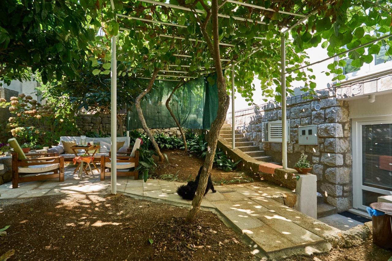 شقة Aspidistra Shadow دوبروفينك المظهر الخارجي الصورة