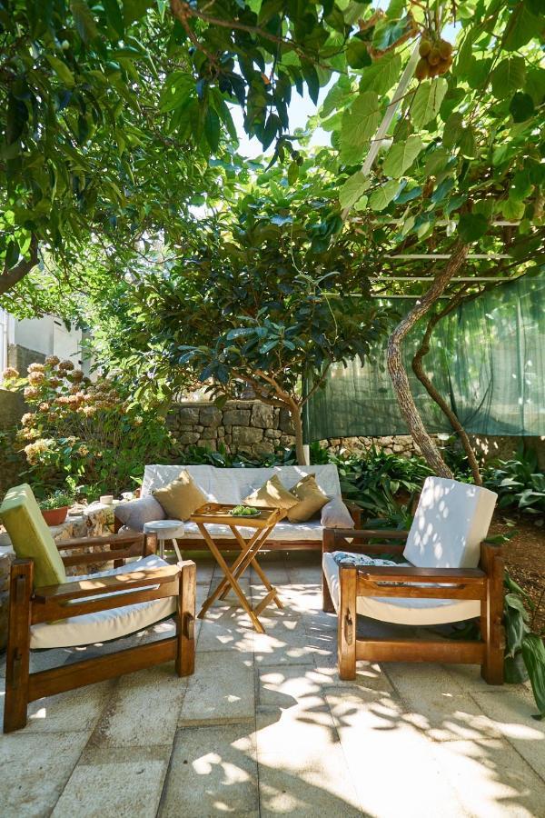 شقة Aspidistra Shadow دوبروفينك المظهر الخارجي الصورة
