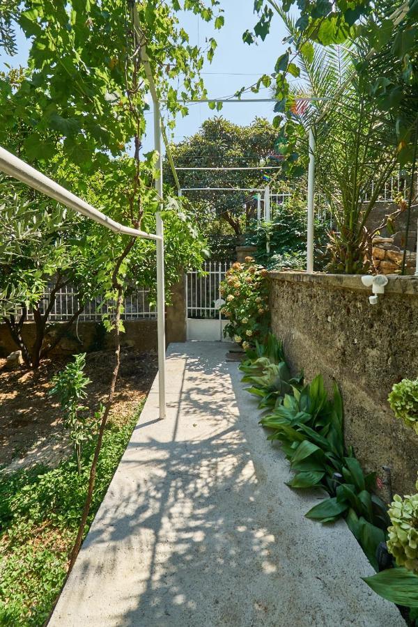 شقة Aspidistra Shadow دوبروفينك المظهر الخارجي الصورة