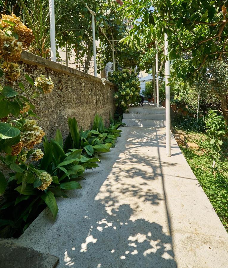 شقة Aspidistra Shadow دوبروفينك المظهر الخارجي الصورة